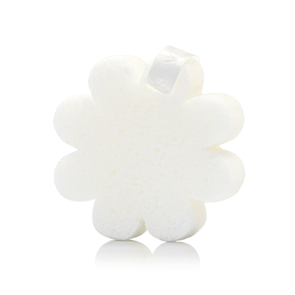 Coconut Verbena | Boxed Flower